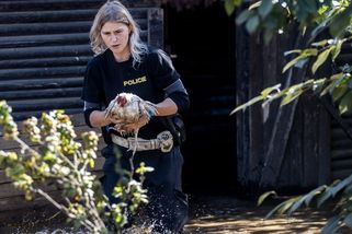V Rapotíně nespali už 25 hodin. „Chytejte nám most,“ přišla shora zpráva - Seznam Zprávy